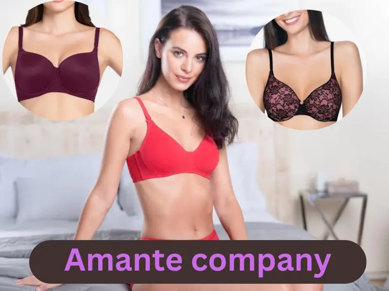 Amante company