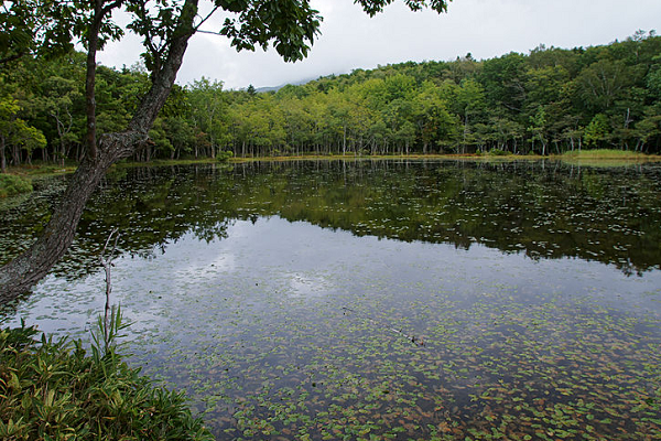 Shiretoko-Goko-Lakes