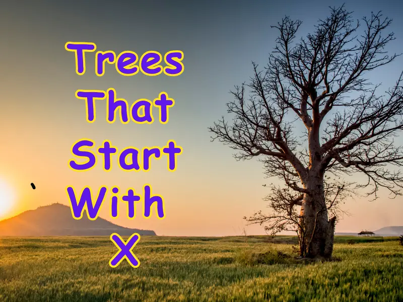 Trees That Start With X